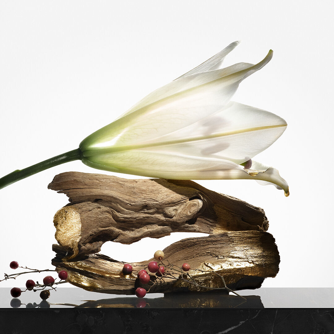 HAIR REJUVENIC - MASQUE RESTRUCTURANT LUMIERE